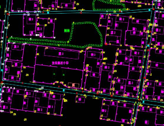 CAD绘制沈宋集村地形总图